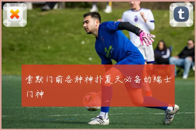 索默门前各种神扑夏天必备的瑞士门神 - 2026世界杯（中国）竞猜官方网站 - FIFA Worldcup 世界赛 ...