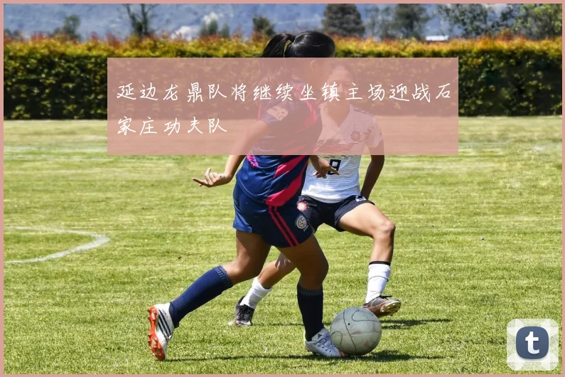 延边龙鼎队将继续坐镇主场迎战石家庄功夫队 - 2026世界杯(中国)竞猜官方网站 - FIFA Worldcup 世界赛 ...