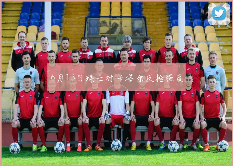 6月13日瑞士对卡塔尔反抢强度