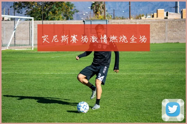 突尼斯赛场激情燃烧全场 - 2026世界杯（中国）竞猜官方网站 - FIFA Worldcup 世界赛 ...