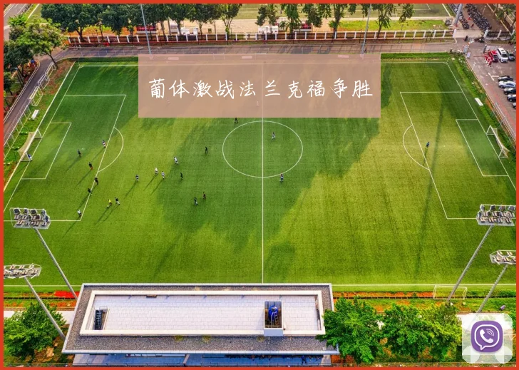 葡体激战法兰克福争胜 - 2026世界杯(中国)竞猜官方网站 - FIFA Worldcup 世界赛 ...
