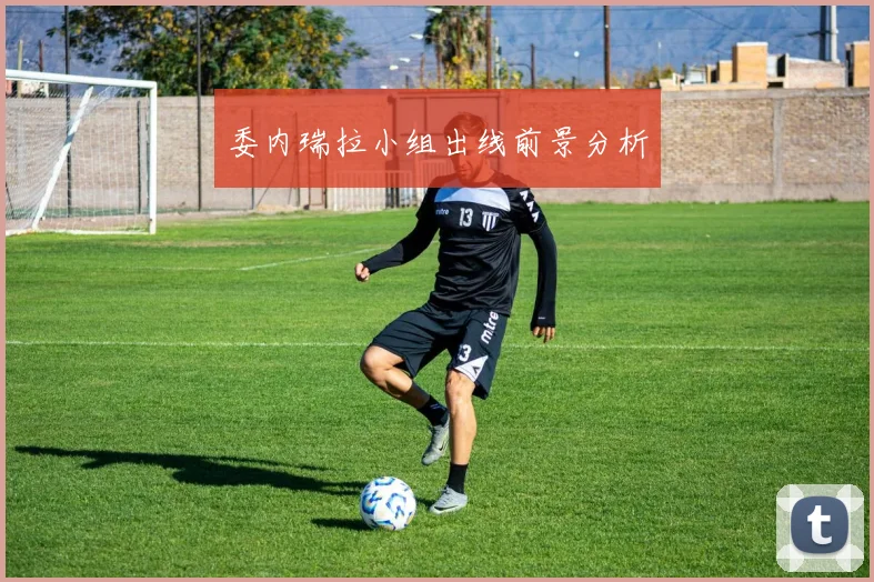 委内瑞拉小组出线前景分析 - 2026世界杯（中国）竞猜官方网站 - FIFA Worldcup 世界赛 ...