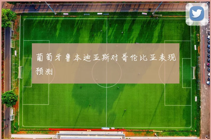 葡萄牙鲁本迪亚斯对哥伦比亚表现预测