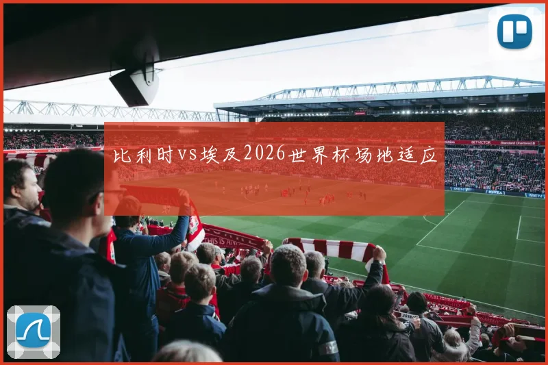 比利时vs埃及2026世界杯场地适应
