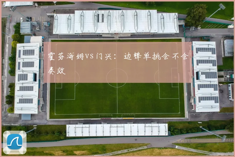 霍芬海姆vs门兴：边锋单挑会不会奏效