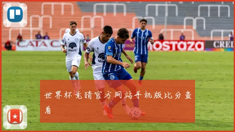 世界杯竞猜官方网站手机版比分查看