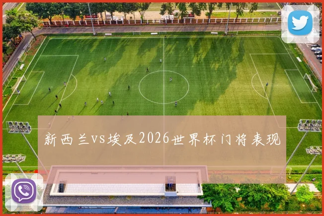 新西兰vs埃及2026世界杯门将表现