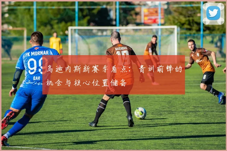 乌迪内斯新赛季看点：青训前锋的机会与核心位置储备