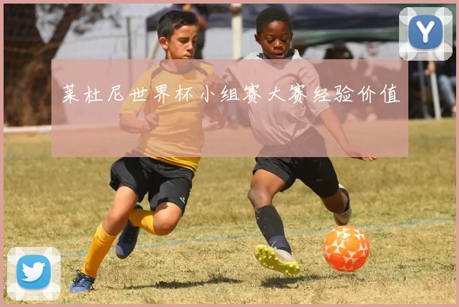 莱杜尼世界杯小组赛大赛经验价值