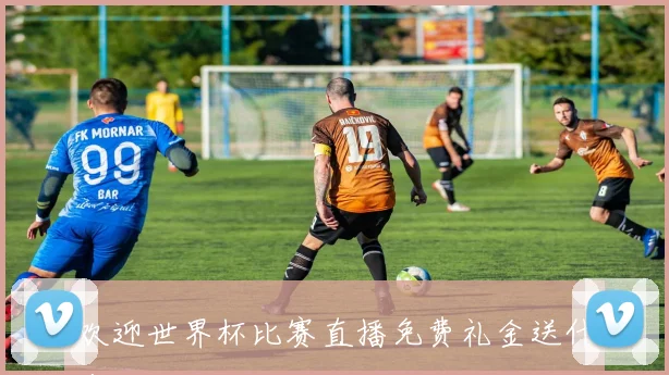 欢迎世界杯比赛直播免费礼金送什么