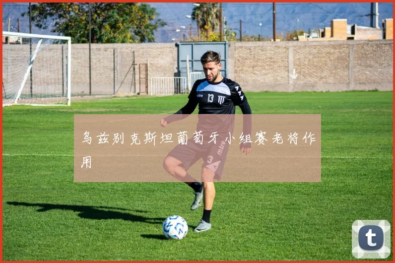 乌兹别克斯坦葡萄牙小组赛老将作用